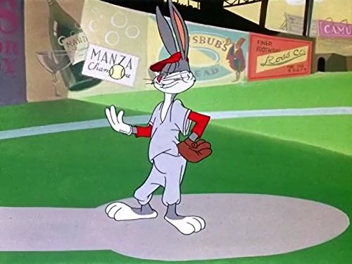 Safe at Home: Baseball, Reincarnation, and the Diamond of Consciousness