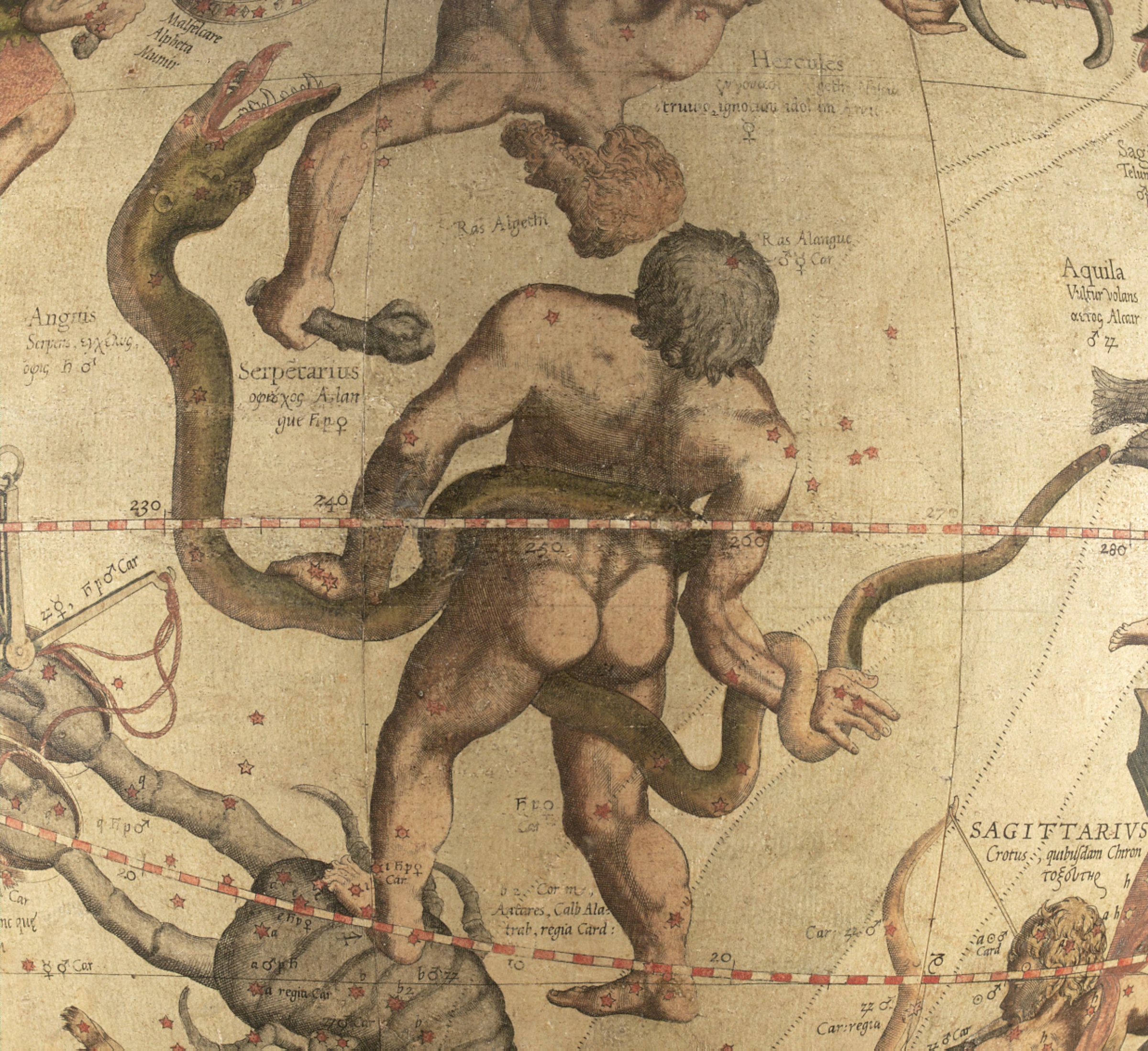 The Serpent Between Symbol and System