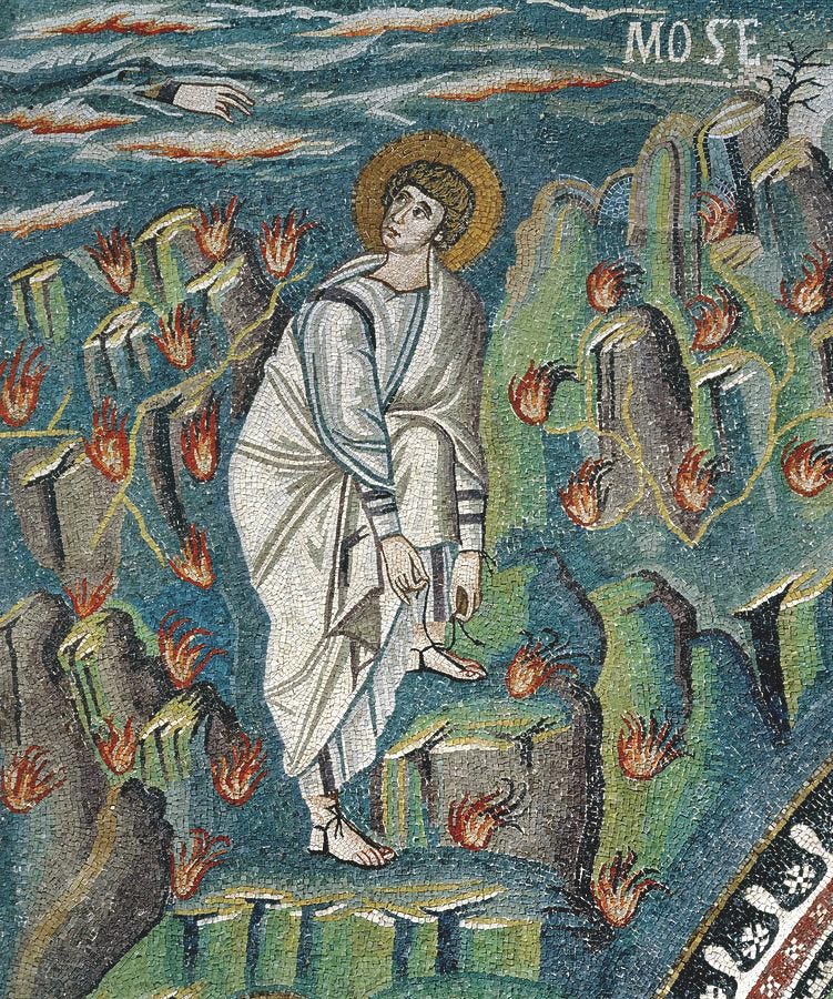 The Burning Bush as Pure First Fire