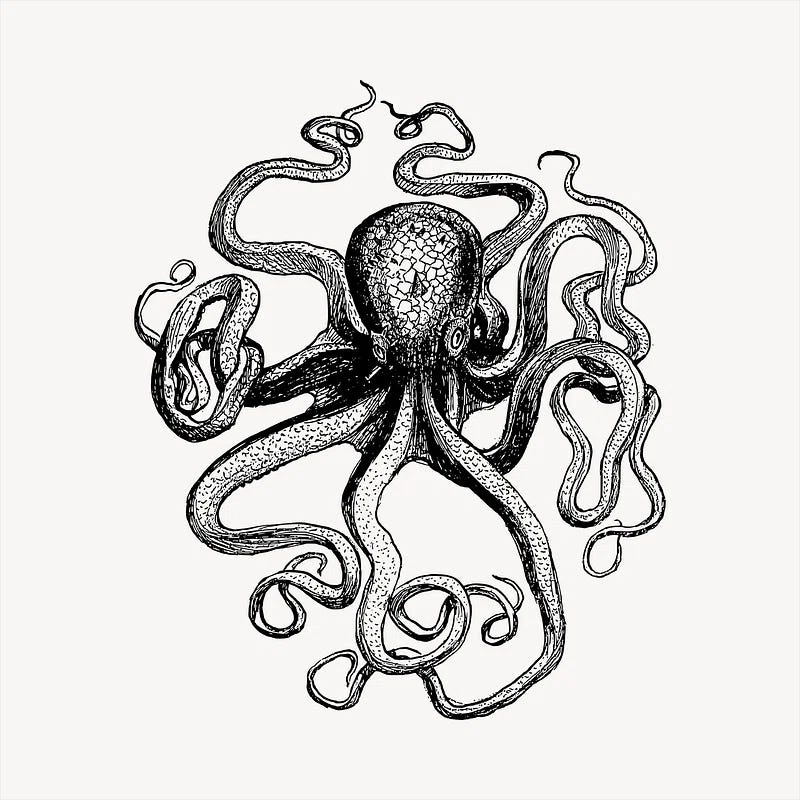 Eight Arms Beneath the Storm