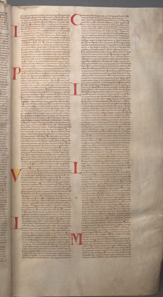 A medieval manuscript page of Leviticus from the Codex Gigas.