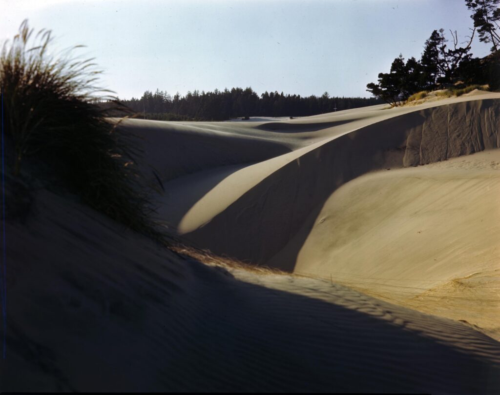 Historic photograph of coastal sand dunes near Florence, Oregon, the landscape that helped inspire Frank Herbert's Dune.
